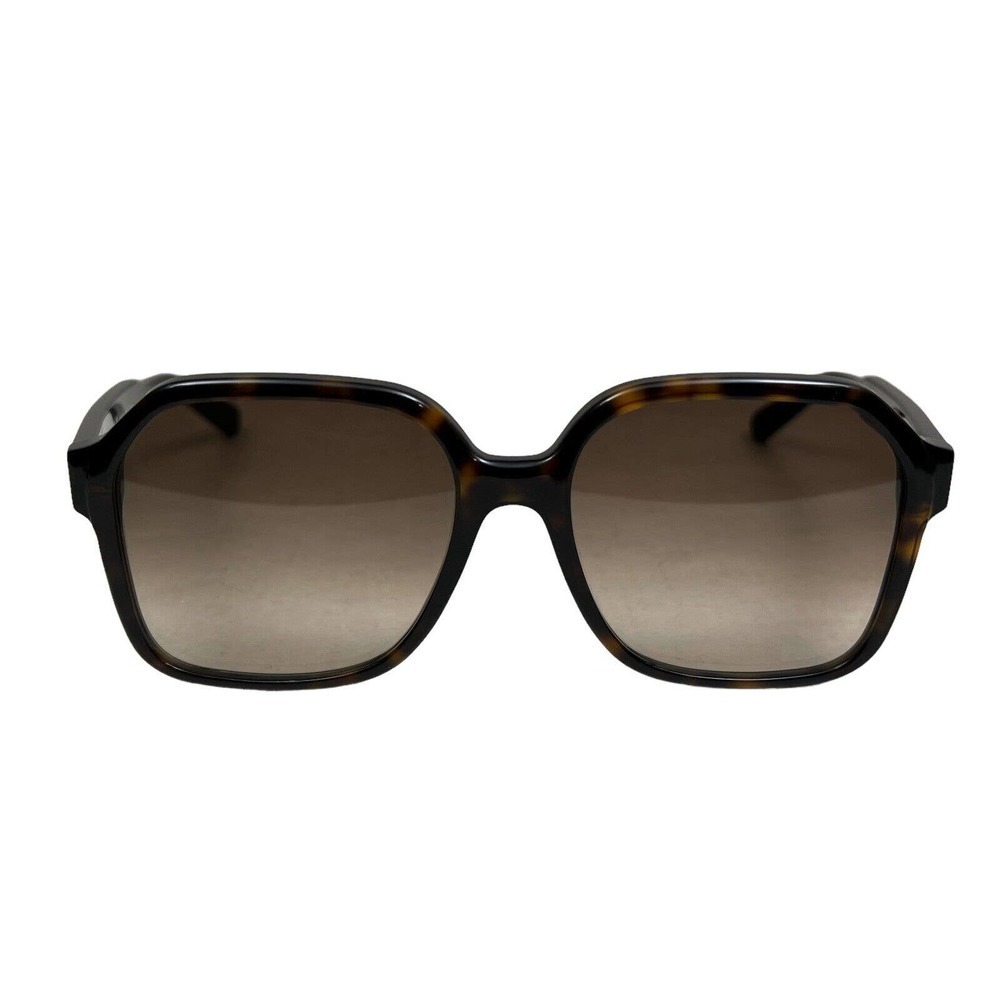 Salvatore Ferragamo SF1069S Sunglasses Gradient Lens Full Square Rim Brown Women